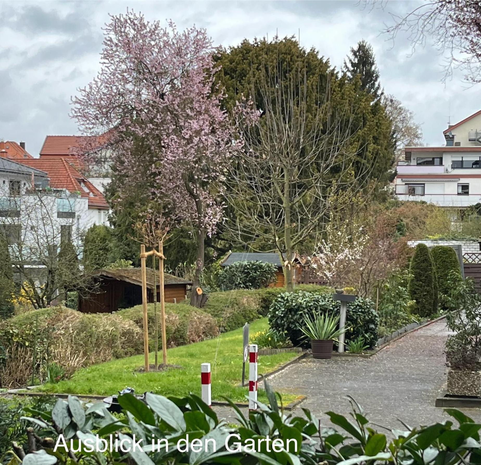 Appartementresidenz Am Kurpark - Ferienwohnungen Mit Pool & Sauna & Garage Bad Salzuflen Pokoj fotografie